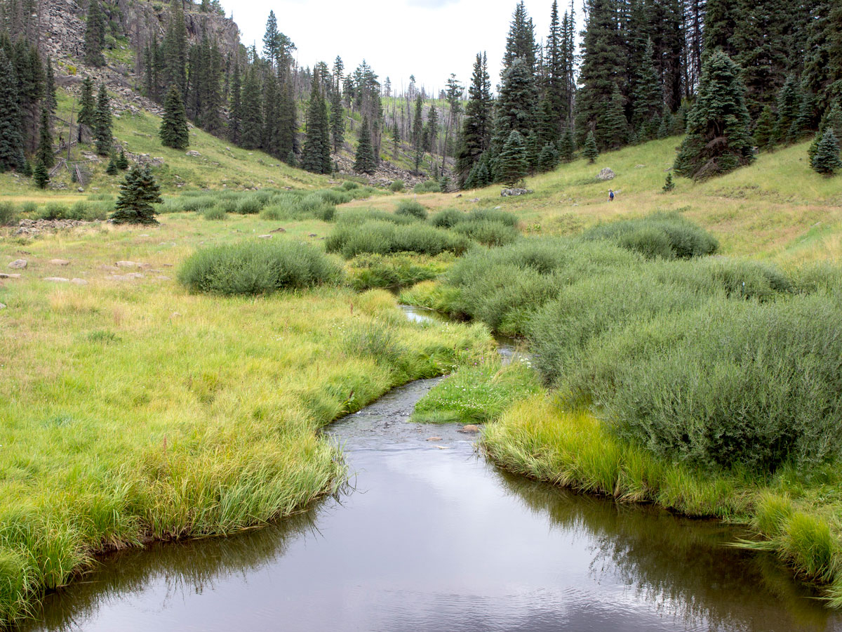 Springs Trail
